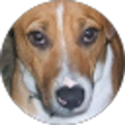 Profile photo of Frances Hayes