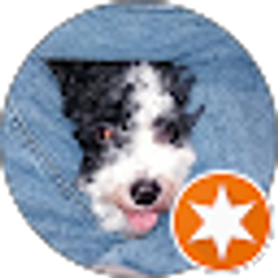 Profile photo of R. Janke