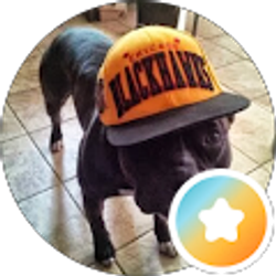 Profile photo of Franky Gallegos