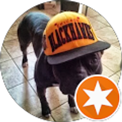 Profile photo of Franky Gallegos