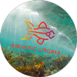 Profile photo of Aquatic Utopia