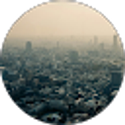 Profile photo of ZM tv