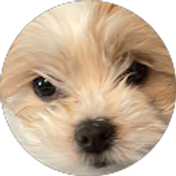 Profile photo of Esmeralda Aguirre