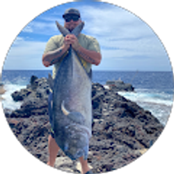 Profile photo of Tim Spellicy