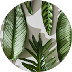 Profile photo of Sydney Morton