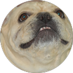 Profile photo of Madi Machata