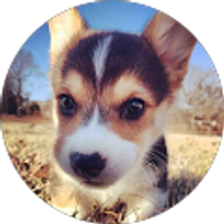 Profile photo of Kara Nicole