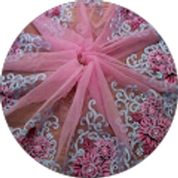 Profile photo of Daniela Omokwale