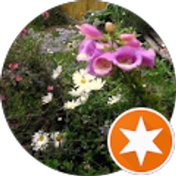 Profile photo of Donna Rogers