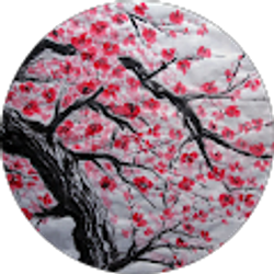 Profile photo of Diana Shope