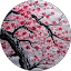 Profile photo of Diana Shope