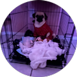 Profile photo of Deysi Lopez