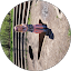 Profile photo of Mark Berry