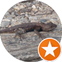 Profile photo of Tony Peters