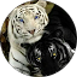 Profile photo of Laterra Trimble