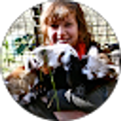 Profile photo of Annie fyndraai