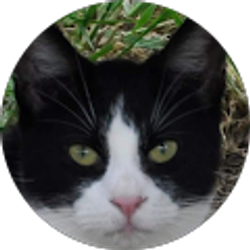 Profile photo of Clay Newman