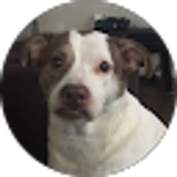 Profile photo of Jiselle Pozas