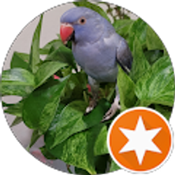 Profile photo of samuel Arevalo