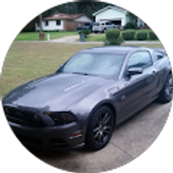 Profile photo of R P