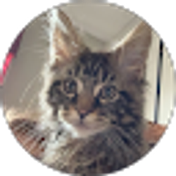 Profile photo of Taylor Dashnaw