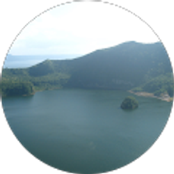 Profile photo of David Tao Martinez