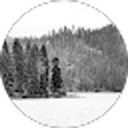 Profile photo of Mark Pickel