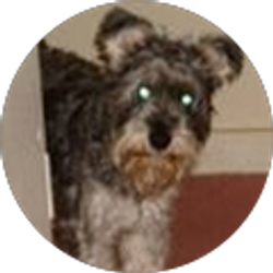 Profile photo of April Stafford