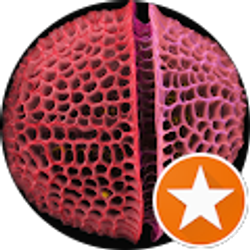 Profile photo of Sohaib Basharat