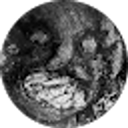 Profile photo of B Carr