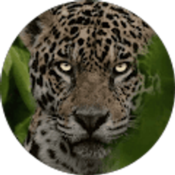Profile photo of AR Baxter