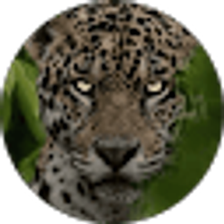 Profile photo of AR Baxter