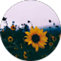Profile photo of Madilyn Guilfoy
