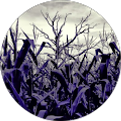 Profile photo of Darien Hoogacker