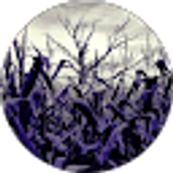 Profile photo of Darien Hoogacker