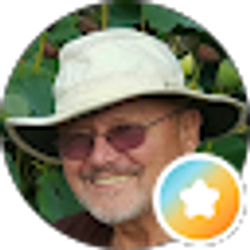Profile photo of Bob P