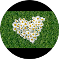 Profile photo of Doris C