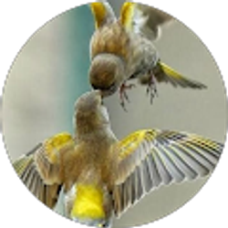 Profile photo of Doris Segovia