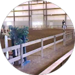 Profile photo of rockonhomieg