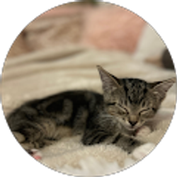 Profile photo of Hailey Guinn