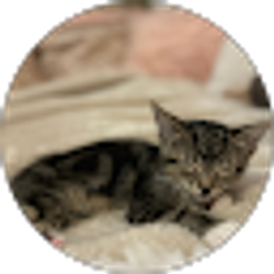 Profile photo of Hailey Guinn