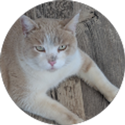 Profile photo of Becky Ignatowicz