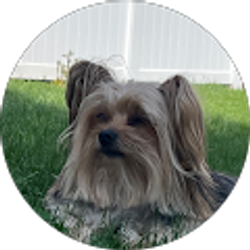 Profile photo of Chad Moore