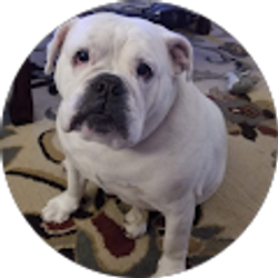 Profile photo of Ashley Farmer