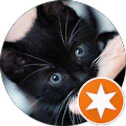 Profile photo of SlowCookedChaos