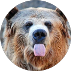 Profile photo of Ryan Nolan