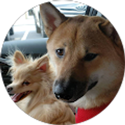 Profile photo of Amy Greenhill