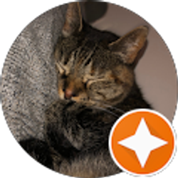 Profile photo of Melissa Spaulding