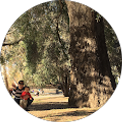 Profile photo of Luis Solano