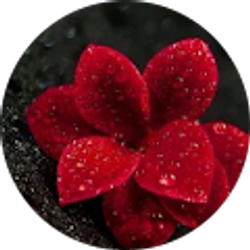 Profile photo of Avadeen Dilworth